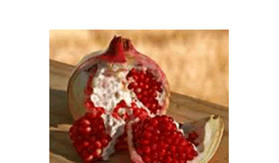 articlesThumb_17_1_Pomegranate_01.gif