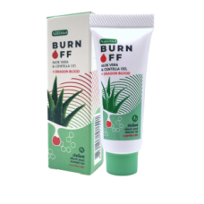 PDP - 2023-11-25T164747.605.png